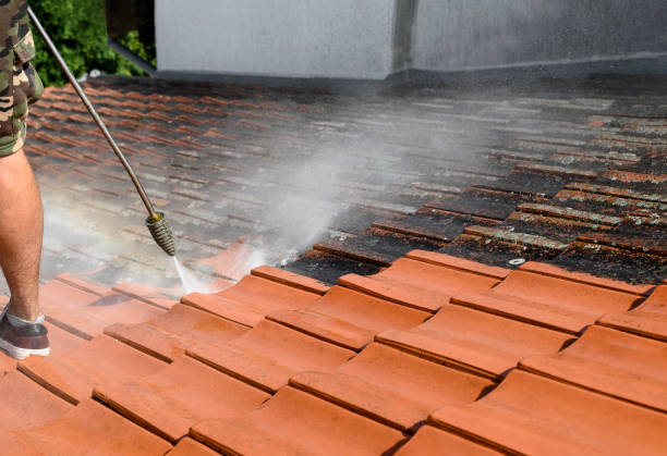 Best Pressure Washing Company Near Me  in Seth Ward, TX