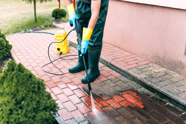 Best Commercial Pressure Washing  in Seth Ward, TX