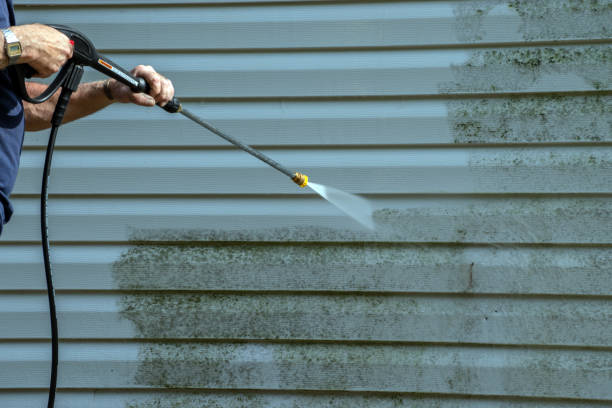 Best Pressure Washing Near Me  in Seth Ward, TX
