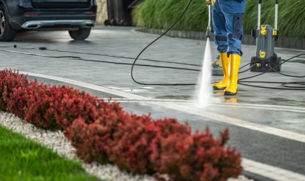 Best Deck Cleaning Services  in Seth Ward, TX